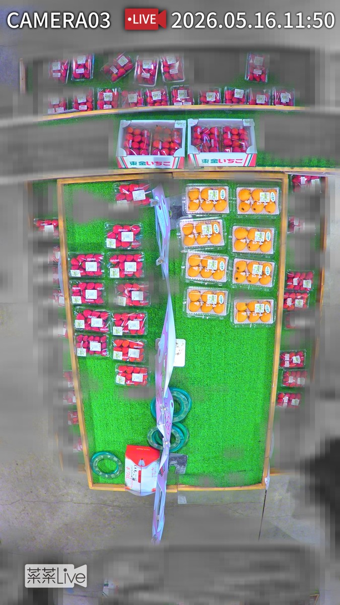 カルーセル画像 Camera03