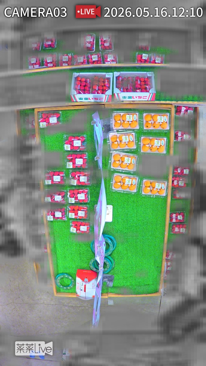 カルーセル画像 Camera03