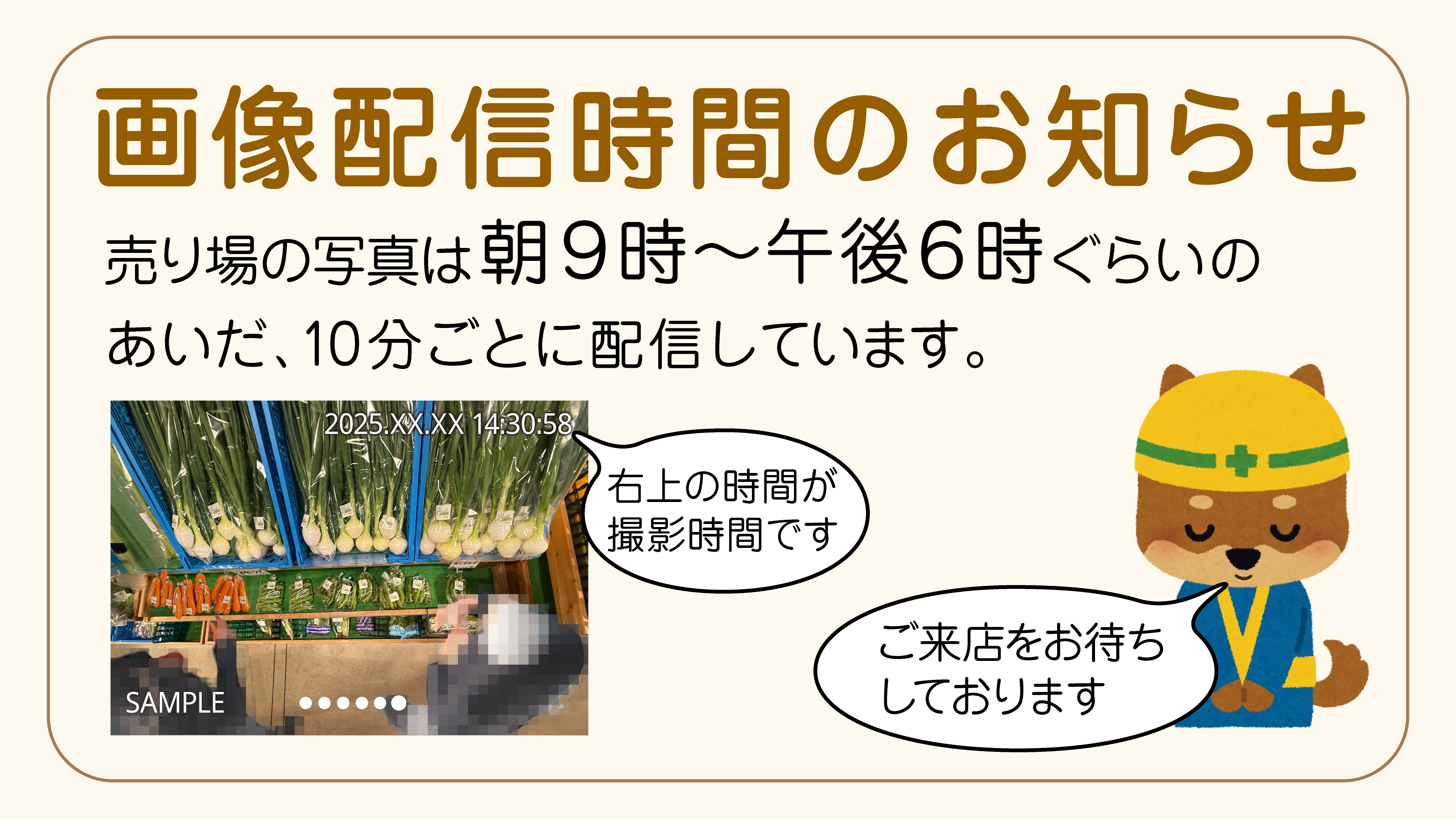 画像がありません